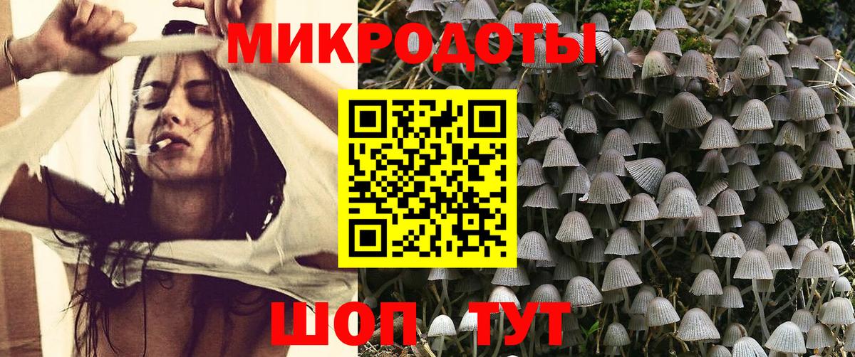 Псилоцибиновые грибы Советская Гавань