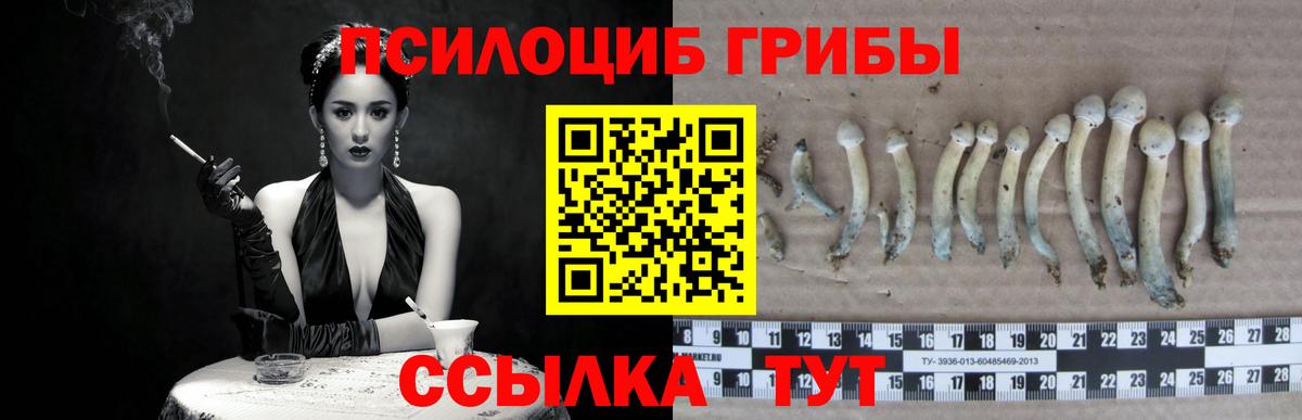 Советская Гавань  Псилоцибиновые грибы Psilocybine cubensis  Псилоцибиновые грибы Magic Shrooms  Вход с VPN 